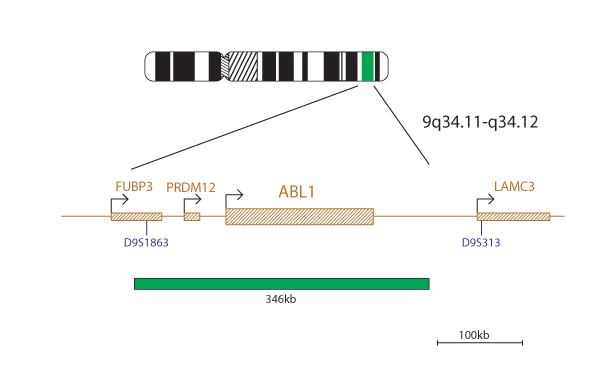 prod-CLL-BCR-ABL-2-diag